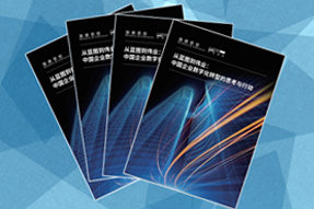 《从蓝图到伟业：中国企业数字化转型的思考与行动》