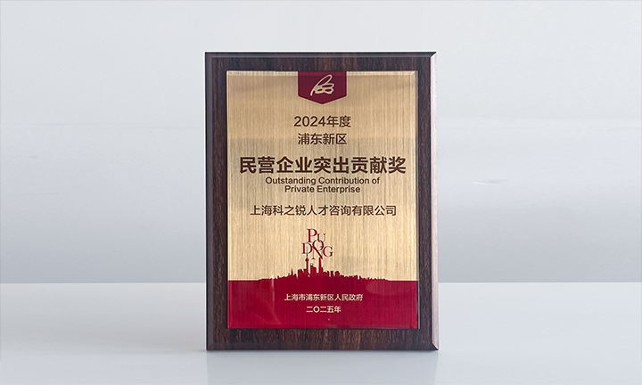 人力资源供应商凯发k8旗舰国际凭借人才服务与在区域经济开展中的卓越表现荣膺2024年度浦东新区民营企业奖项