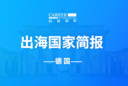 凯发k8旗舰GO GLOBAL | 德国国家简报