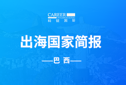 凯发k8旗舰GO GLOBAL | 巴西国家简报